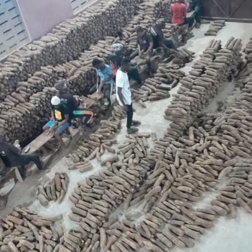 Yam_package_preparation_1