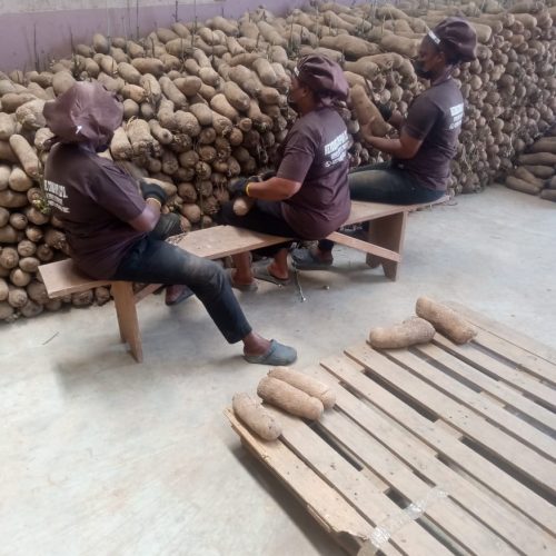 Yam_package_preparation_2