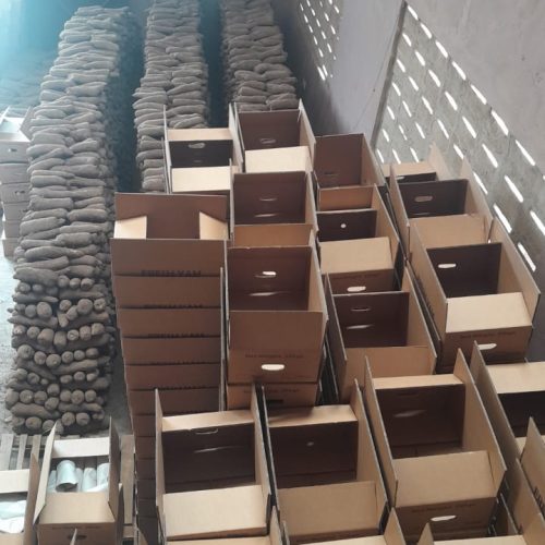 Yams and packaging Boxes_Nerosone